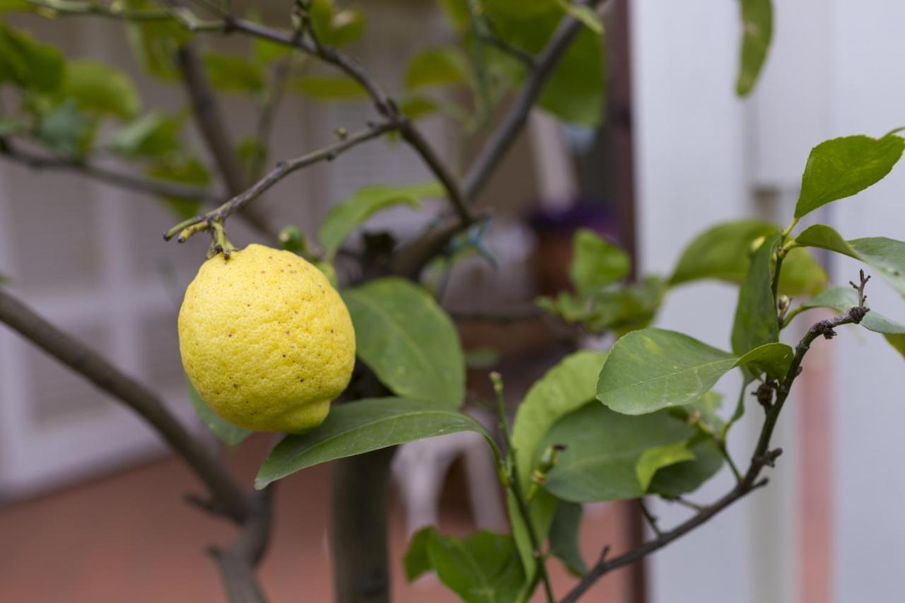B&B Cava Rossa Monsummano Terme Exteriér fotografie